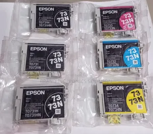 Epson Printer Inkjet Cartridges 73n Series Is a Set Of
