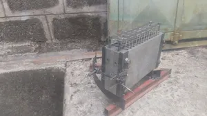 Shama Mold