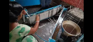 Shama Mold