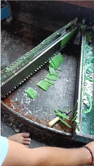 Shama Mold
