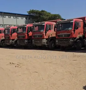 Howo Sino Truck 2025