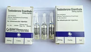 Supplement For Body Builders
