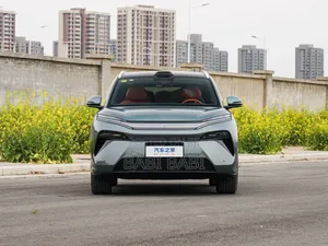 New BYD Tang EV 2025 Gray