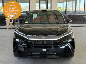 New BYD Tang EV 2025 Matt Black