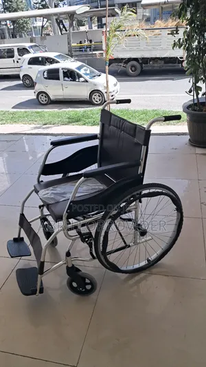 Toilet Wheelchair