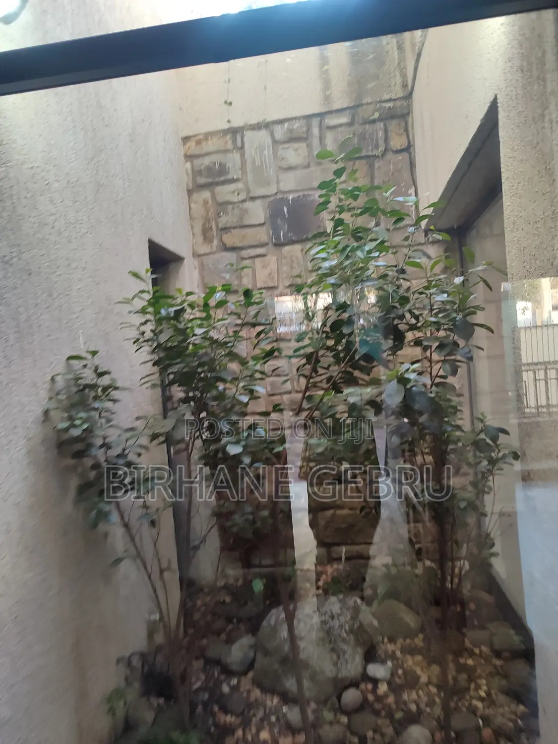5bdrm House in G+1 House, Bole for rent