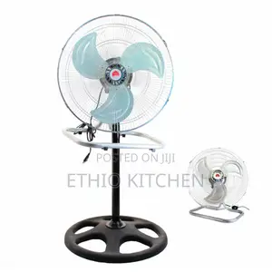 Standing Fan