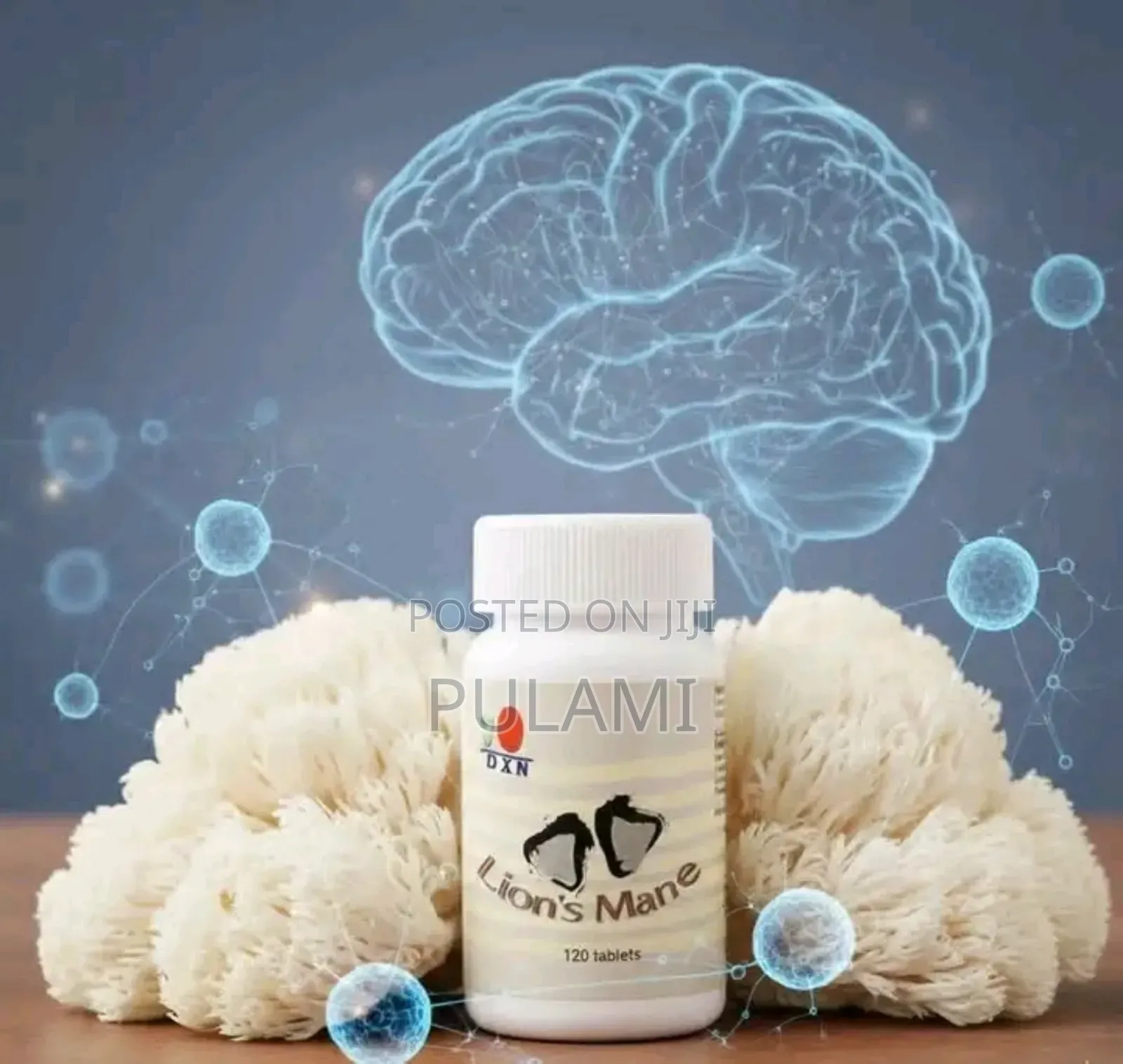 DXN Lions Mane
