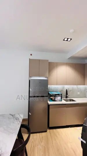 Full Finished Apartment