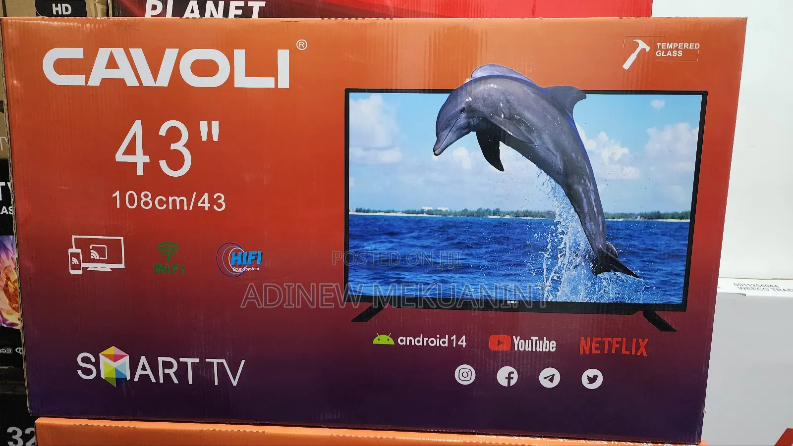 Television