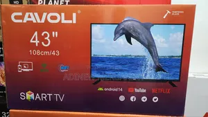 Television