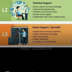 It Consultant