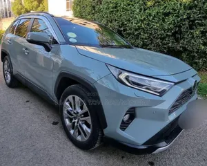 Toyota RAV4 2020 Blue