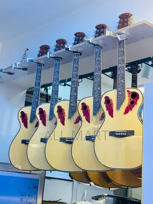Semi - Acoustic Guitar
