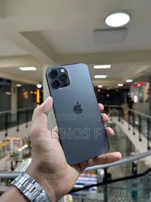 Apple iPhone 12 Pro Max 128 GB Gray