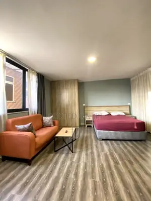 Furnished Studio Apartment in Bole for rent