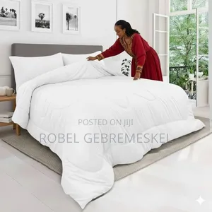 Comforter With Sheet and Pillow