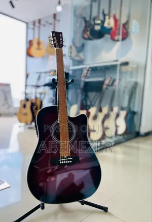 Lucky Star Acoustic Guitar