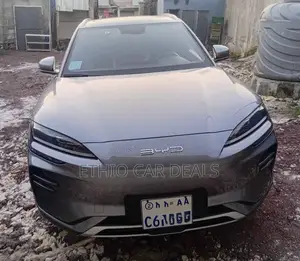 BYD Song Plus 2024 Gray