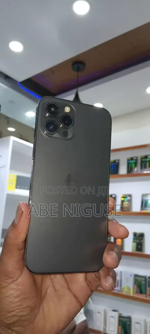 Apple iPhone 12 Pro Max 256 GB Gray