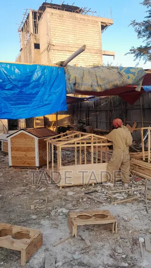 Solomon Dog House Work Addis Abeba