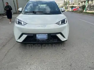 BYD Seagull 2025 White