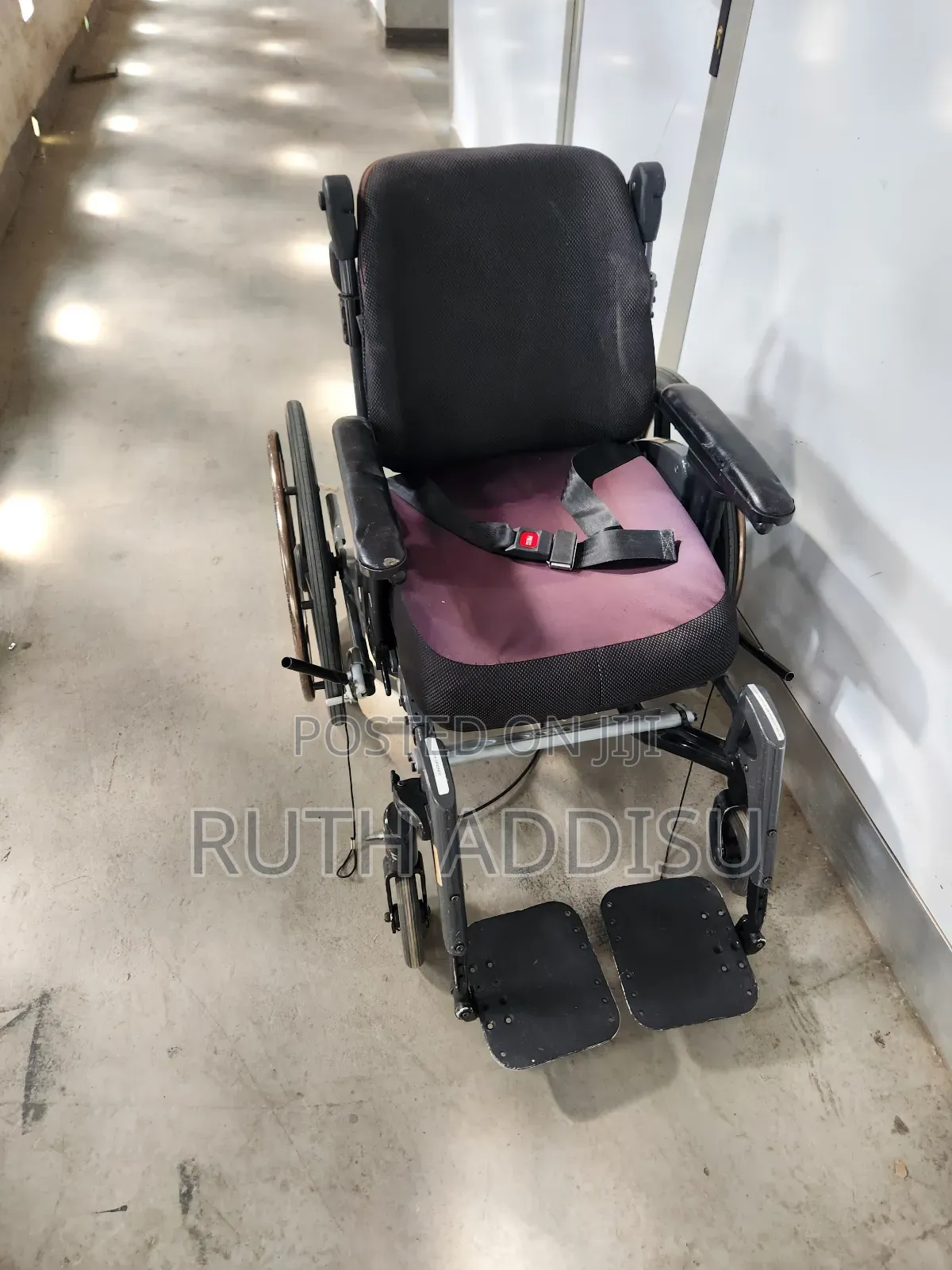 Belted Canadian Wheelchair堥你wheelchair兩個wheelchair缶不wheelchair症的best