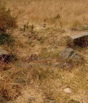 250 ካሬ ባዶ ቦታ አያት አካባቢ ዲጂታል ካርታ ያለው የልማት ተነሽ ኣመቺ ቦታ ላይ