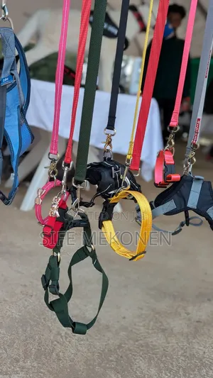Pets Collar