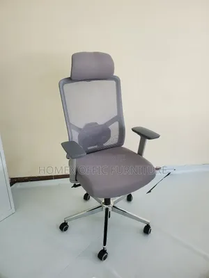 Office Managerial Mesh Chair [Brand New ] Silver Color