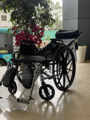 Toilet Wheelchair