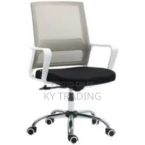 Best Secretary Office Chair (Gray Back)