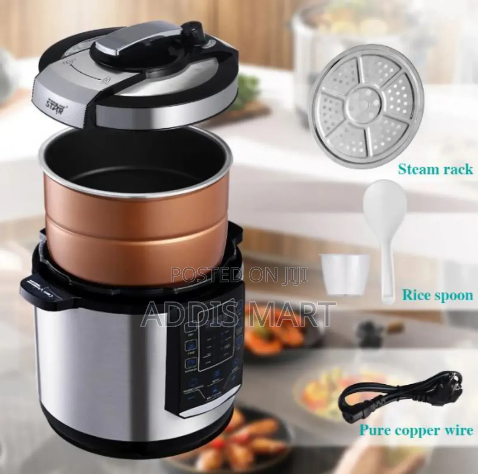 Winning Star 1000w 6l Multifunction Electric Pressure Cooker- St-9303