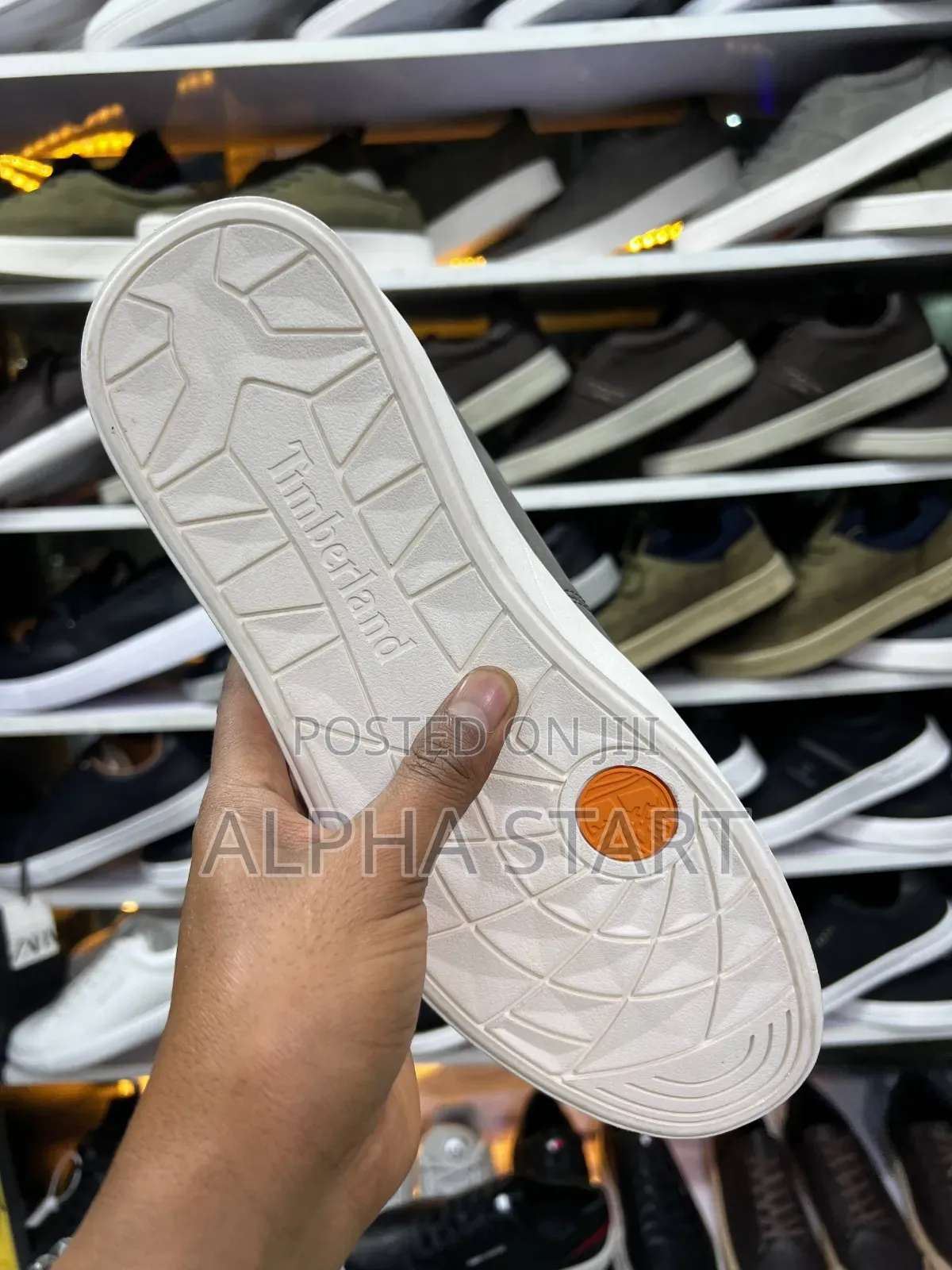 Timberland Flat Lather Sneakers for Man' Made in Vietnam for Graycolor