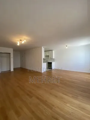 Furnished 2bdrm Apartment in ጃንቦ, Lideta for sale
