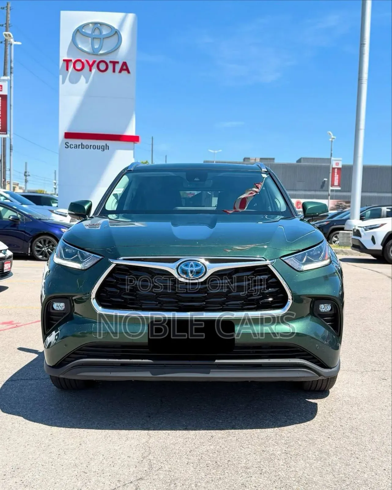 Toyota Highlander Hybrid 2024 Green