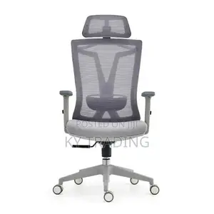 Manager Office Chair (Too Comfortable)