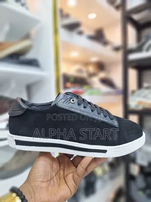 New Arrival Stefano Ricci Flat Sneakers Made in Italy