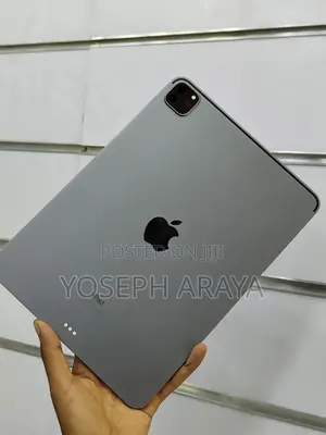 Apple iPad Pro 128 GB Gray