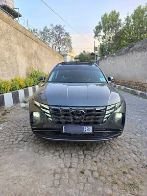 Hyundai Tucson 2021 Purple