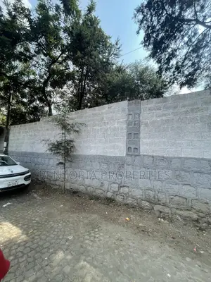 1,200sqm Land for Sale - Setoch Adebabay