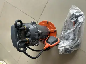 Leo Water Pump