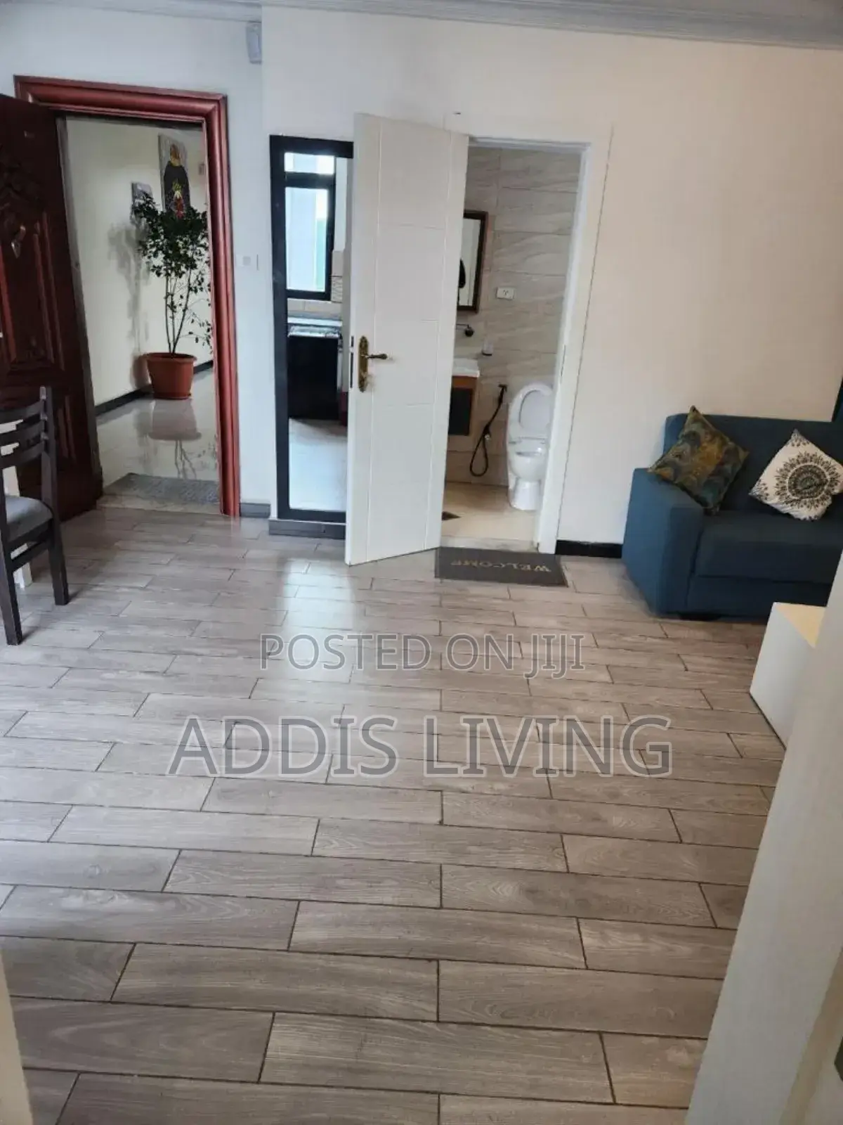 Furnished 1bdrm Apartment in Bole for rent