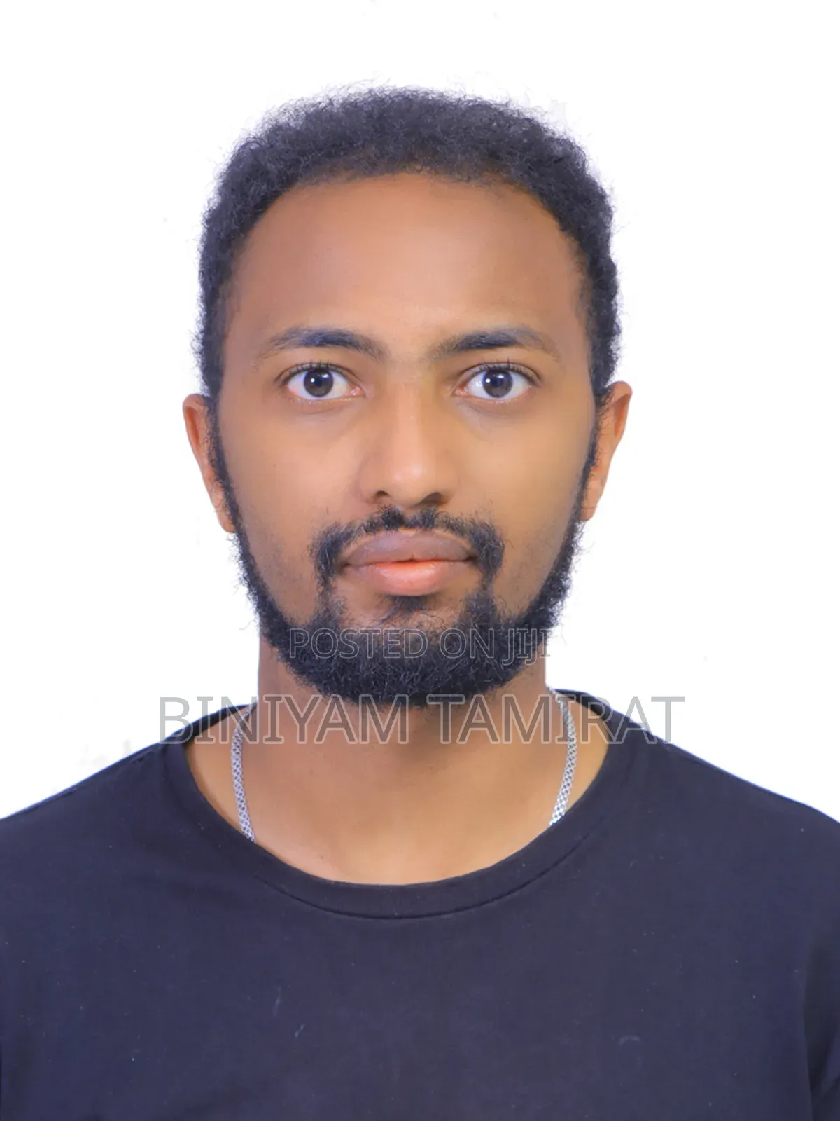 Civil Engineer