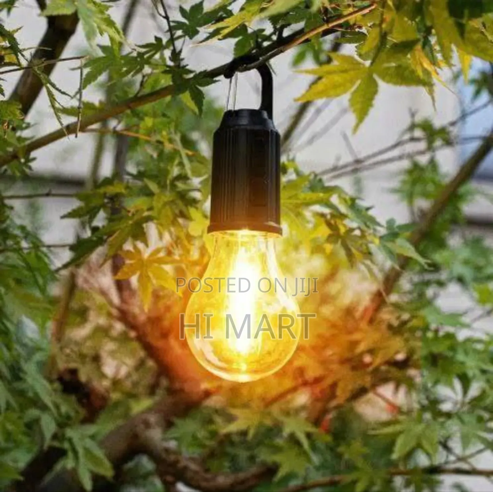 Rechageable Camping Light