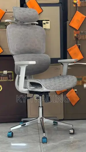 Luxury Ergonomic Office Chair (Full Gray)