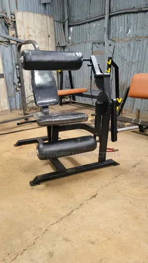 Leg Extension