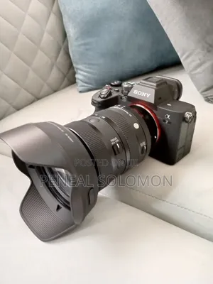 Sigma 24-70mm F/2.8 Dg Dn Il Art Lens (Sony E)