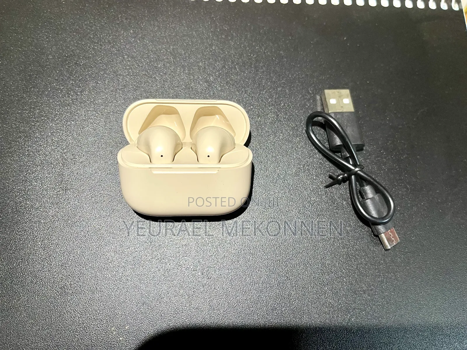 Earpod Pro