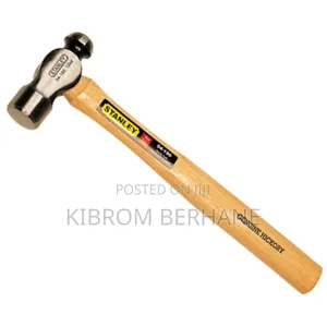 Stanley Hammer